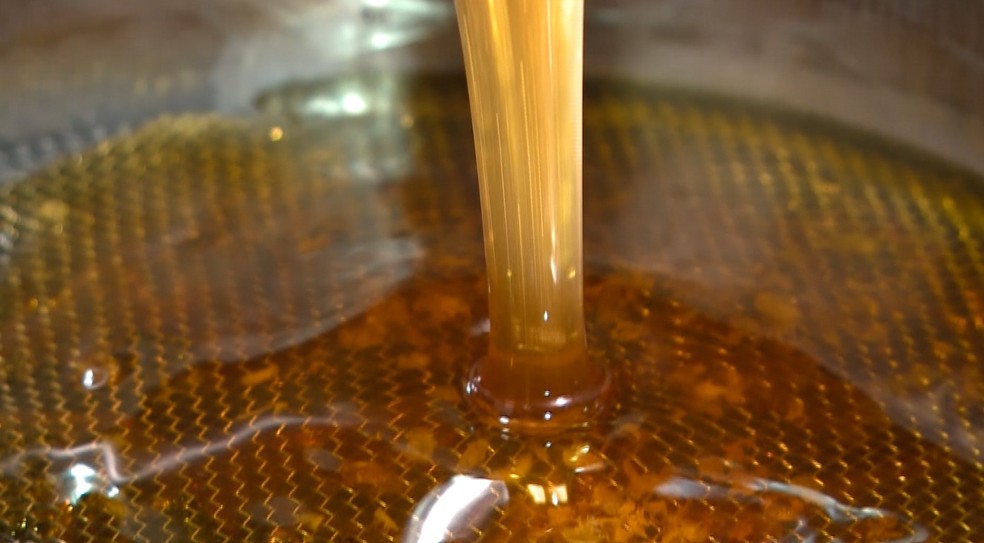 Litro de mel centrifugado custa R$ 22,00 em Rolim de Moura e R$ 20,00 em Colorado do Oeste  (Foto: Reprodução/Tv Clube)
