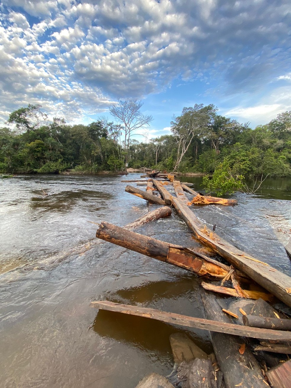 Operação Espanta Lobos em Rondônia — Foto: PF/Reprodução