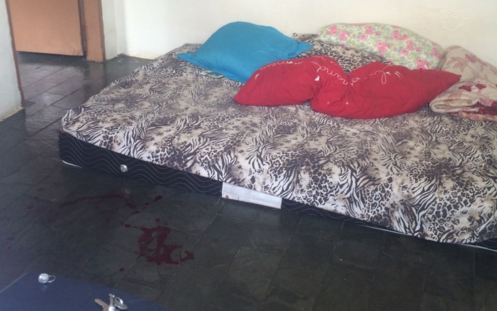 Segundo polÃ­cia, mÃ£e passou a faca no pescoÃ§o do filho  â€” Foto: Graciela Andrade/TV TEM