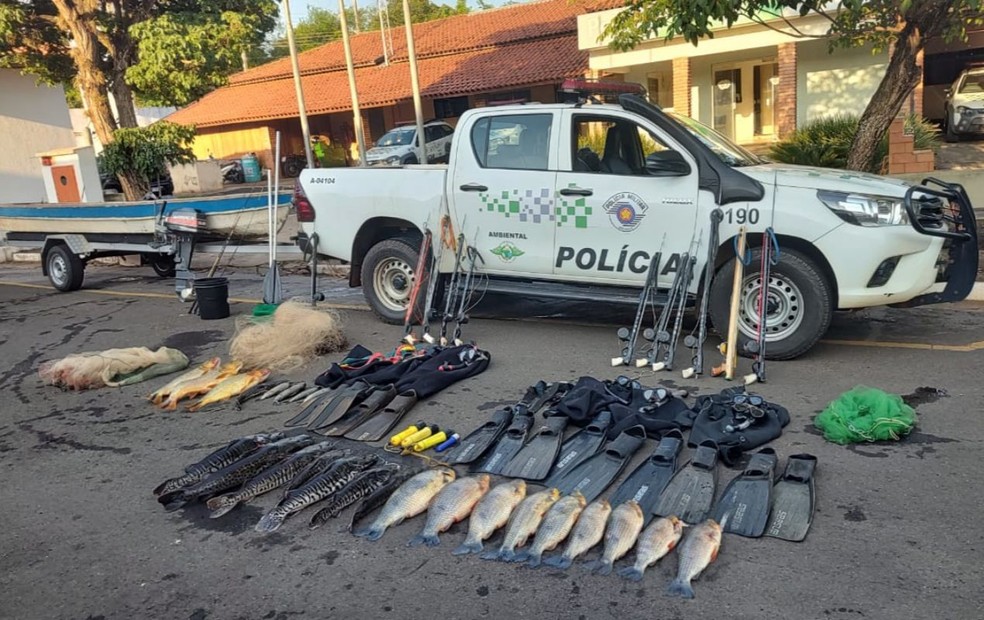 Itens foram apreendidos pela Polícia Militar Ambiental — Foto: Polícia Militar Ambiental/Divulgação