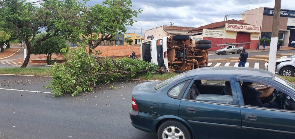 Ao tombar, caminhão ainda derrubou uma árvore do canteiro central — Foto: Laperuta/Passando a Régua/Divulgação