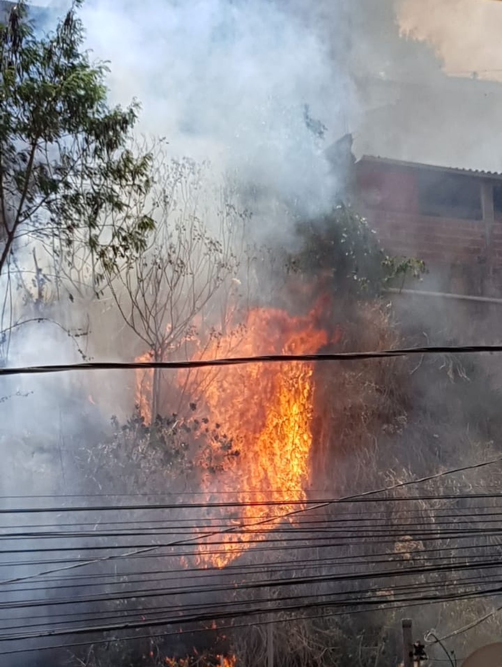 Fogo em vegetação se espalhou e atingiu residências no bairro Novo Horizonte, em Teófilo Otoni — Foto: Corpo de Bombeiros/Divulgação