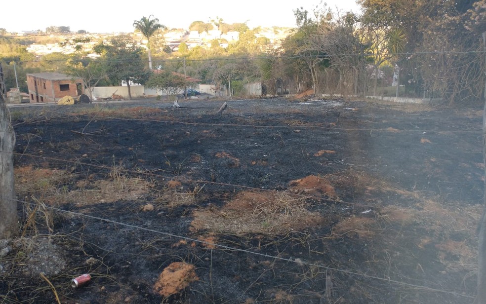 Corpo de Bombeiros atende 28 ocorrências de incêndio em vegetação na região de Guaxupé, MG — Foto: Corpo de Bombeiros