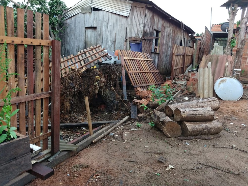 Cerca da casa de Antônio dos Santos foi atingida por uma árvore arrancada do quintal da vizinha — Foto: Arquivo pessoal