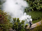 Cingapura confirma 41 casos de transmissão local do vírus da zika 