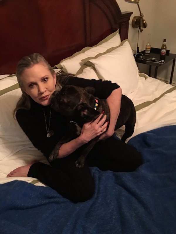 A atriz Carrie Fisher com o cãozinho Gary (Foto: Twitter)
