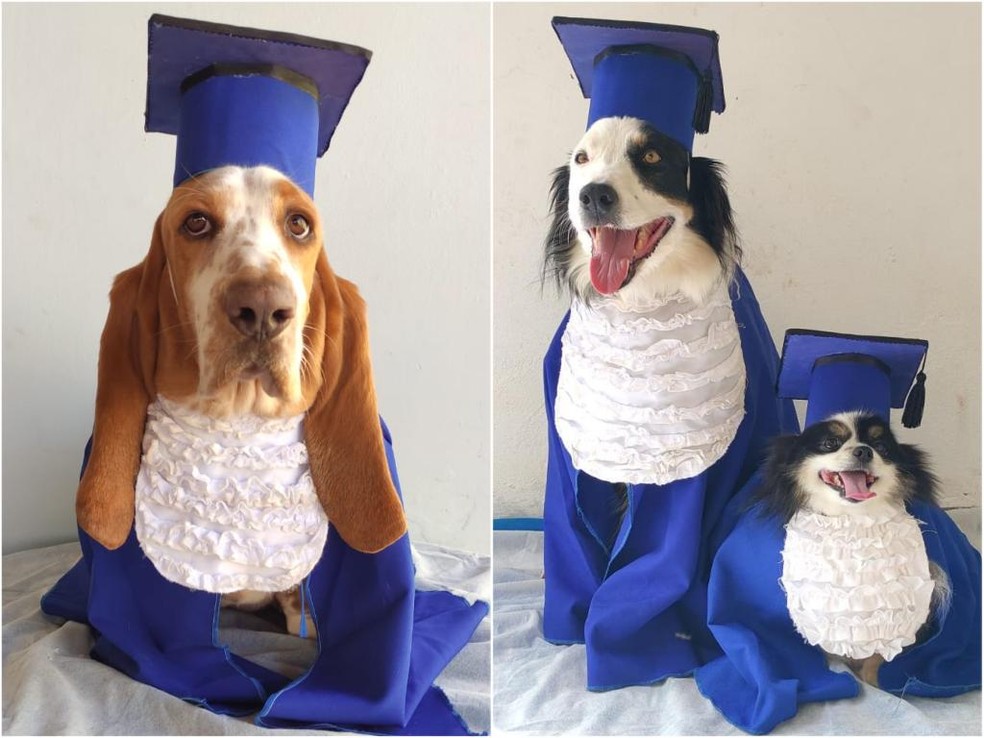 Ensaio de formatura teve direito a beca e diploma  Foto: Redes Sociais/ Reprodução