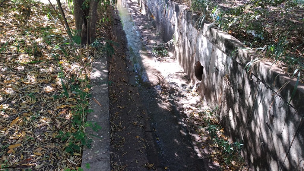 Sabesp reparou a canalização que despejava esgoto a céu aberto no Parque Ecológico Nelson Bugalho, em Presidente Prudente (SP) — Foto: Cedida