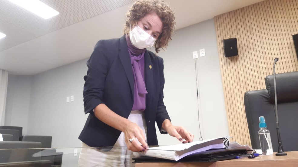 Isolda Dantas, relatora da CPI da Arena das Dunas, foi contra parecer da Procuradoria da ALRN — Foto: Sérgio Henrique Santos/Inter TV Cabugi