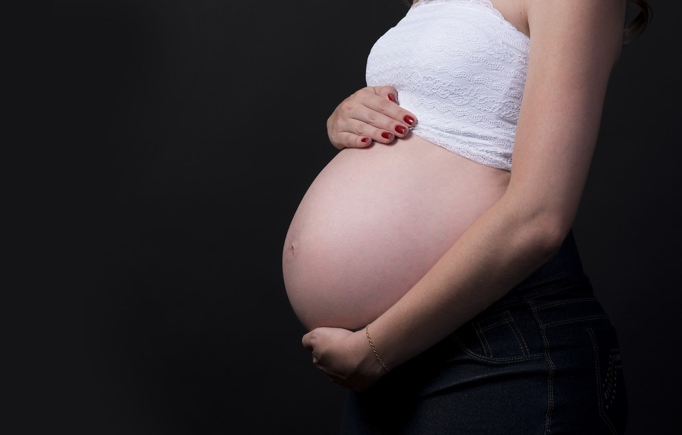 Mulher grávida gestante gestação gravidez — Foto: Pixabay