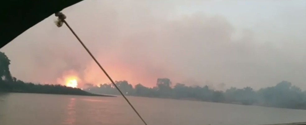 Fogo volta a atingir Pantanal de MS após queda de raio. — Foto: TV Morena/Reprodução