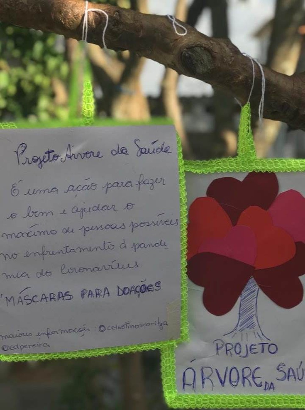 Árvore da saúde distribui máscaras em Florianópolis — Foto: Maritza Fabiane/Arquivo pessoal