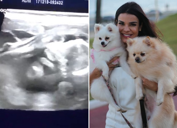 Mari Antunes mostra imagem do exame de ultrassom de sua cadelinha e confunde seguidores (Foto: Reprodução/Instagram e Érica Cotta)