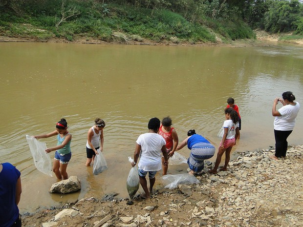 Ação foi realizada o Rio São Francisco em Iguatama (Foto: Codevasf/Divulgação)