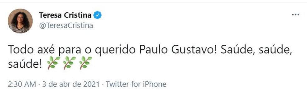 'Todo axé para o querido Paulo Gustavo!', diz Teresa Cristina — Foto: Reprodução/Twitter