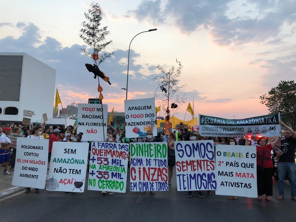 Mobilização Global pelo Clima: manifestantes ocupam Esplanada dos  Ministérios em ato no DF | Distrito Federal | G1