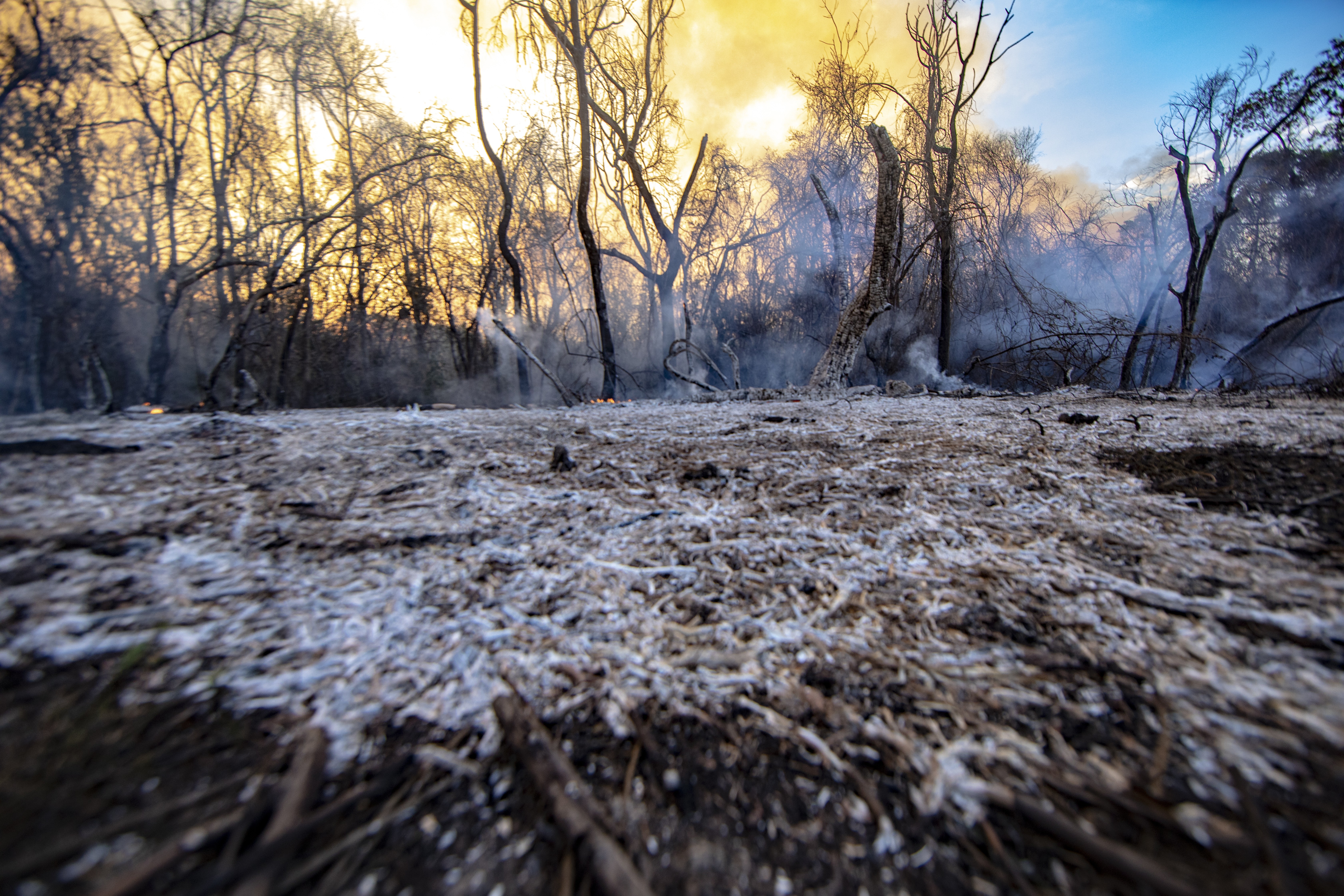Solo atingido pelo incêndio no Pantanal mato-grossense (Foto: Ivan Canabrava/Illuminati Filmes/IPAM)