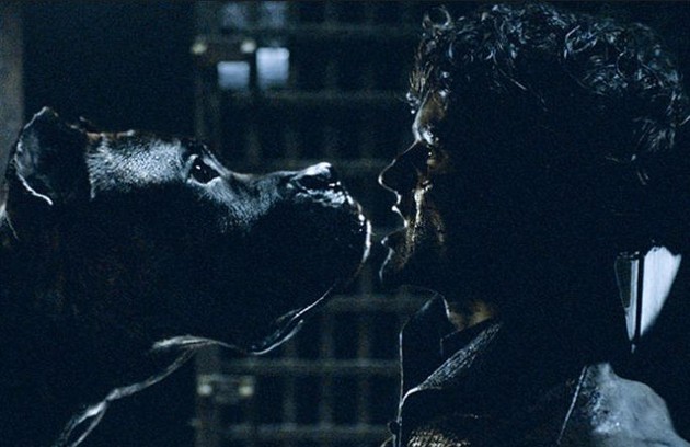 O vilão Ramsay Bolton (Iwan Rheon) foi devorado por cães no desfecho da sexta temporada de 'Game of thrones' (Foto: Reprodução)