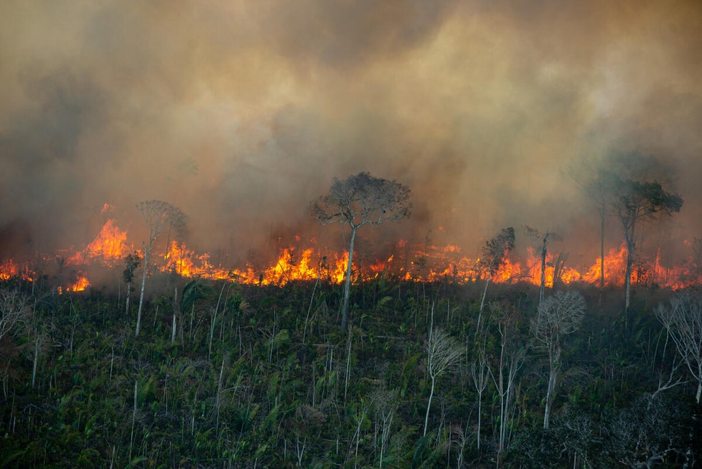 Queimada na Amazônia durante última semana de julho, mesmo com moratória do fogo no bioma. — Foto: Christian Braga/Greenpeace/Arquivo