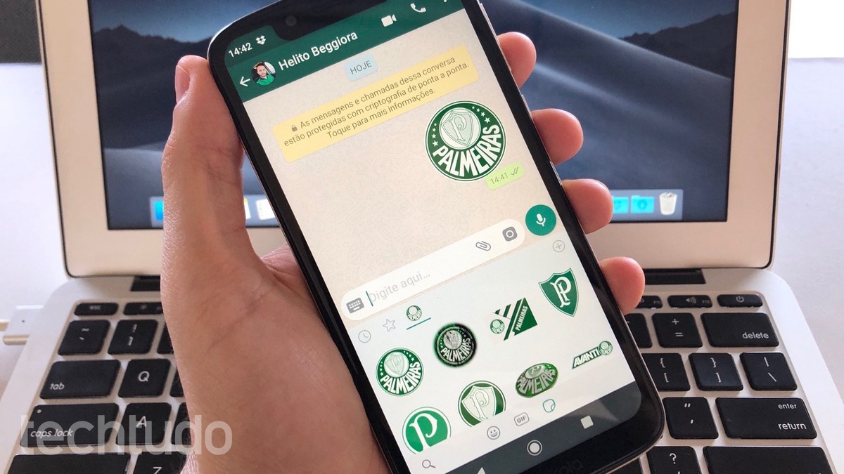 Figurinhas do Palmeiras para WhatsApp: veja como usar stickers do time |  Redes sociais | TechTudo
