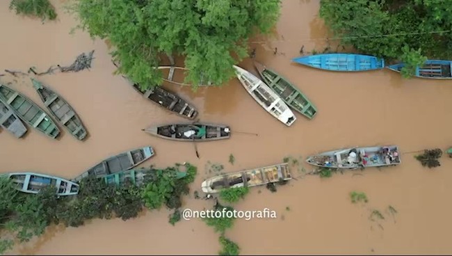 Rio Parnaíba transborda em Uruçuí e deixa famílias desalojadas no Piauí