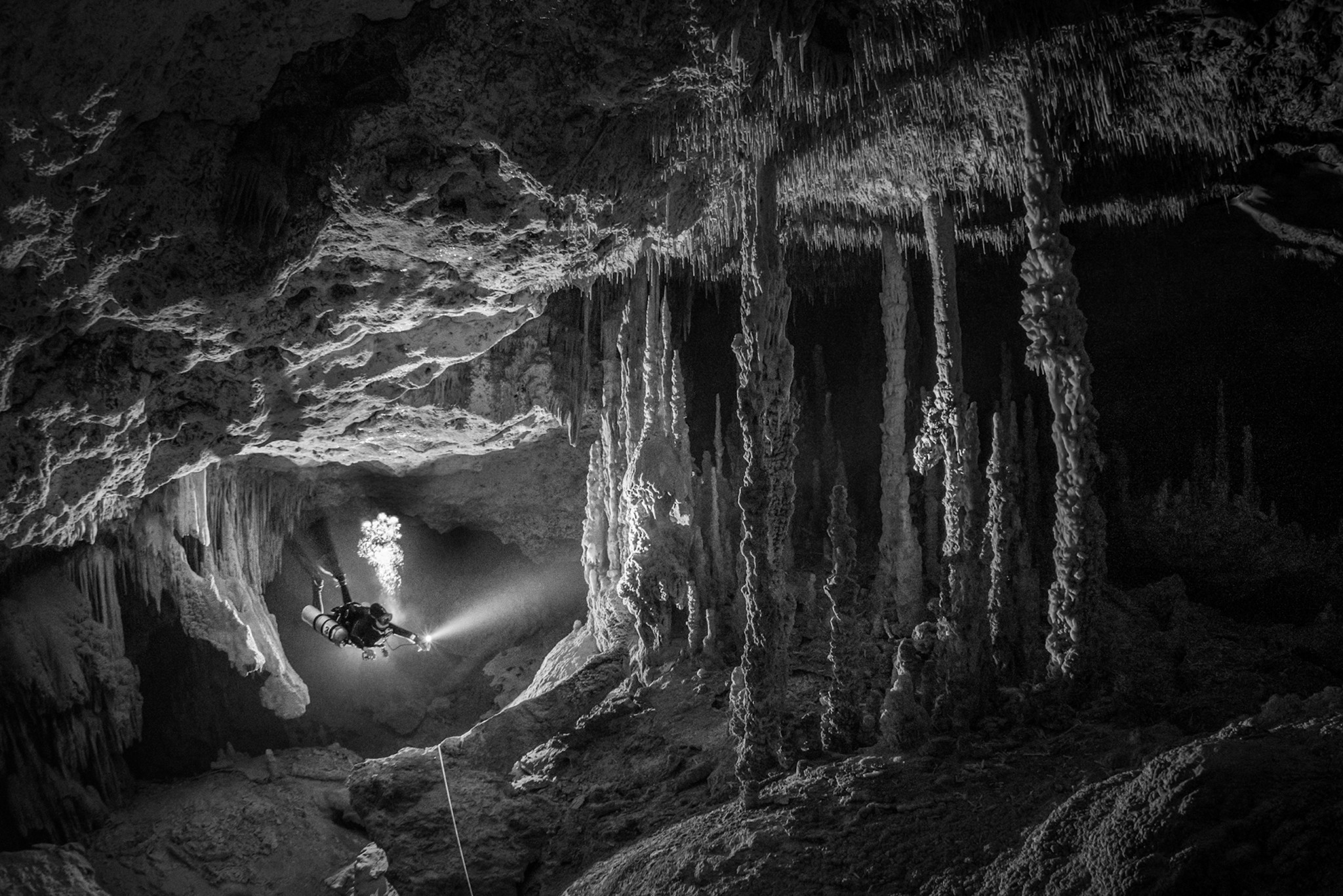 registro que concedeu o primeiro lugar a Tom St. George foi no interior de uma caverna no México (Foto: Tom St. George --  Prêmio Ocean Photographer of the Year )
