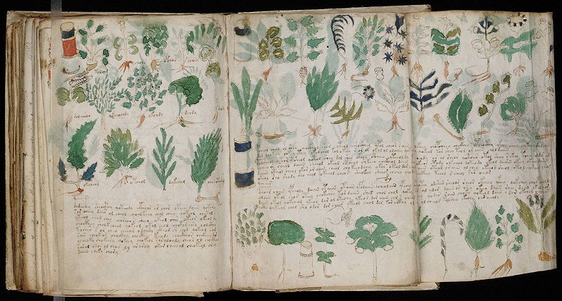 Digitalização do Manuscrito Voynich que mostra algumas de suas ilustrações botânicas (Foto: Wikimedia Commons)