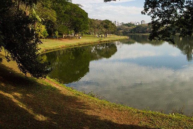 Não parece, mas isso é São paulo: vista do lago do parque do Ibirapuera (Foto: Divulgação)