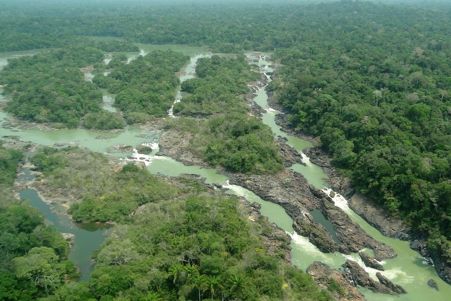 Floresta nacional do Jamanxim pode perder território; entenda