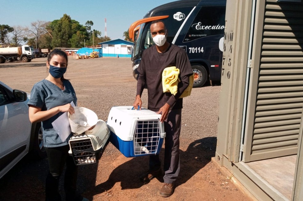 Alguns moradores da região já levaram seus pets para castração no primeiro dia da campanha — Foto: Entrevias/Divulgação