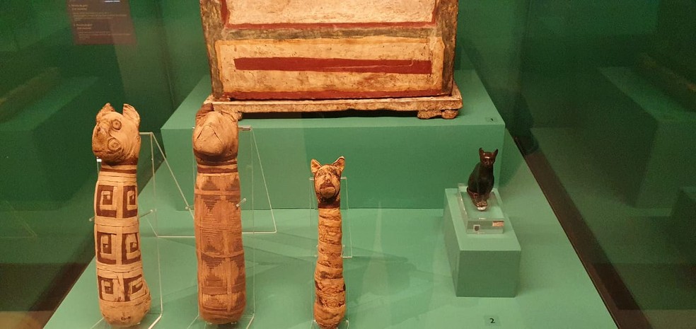 Múmias de gato da exposição Egito Antigo do CCBB — Foto: Bárbara Muniz Vieira/G1