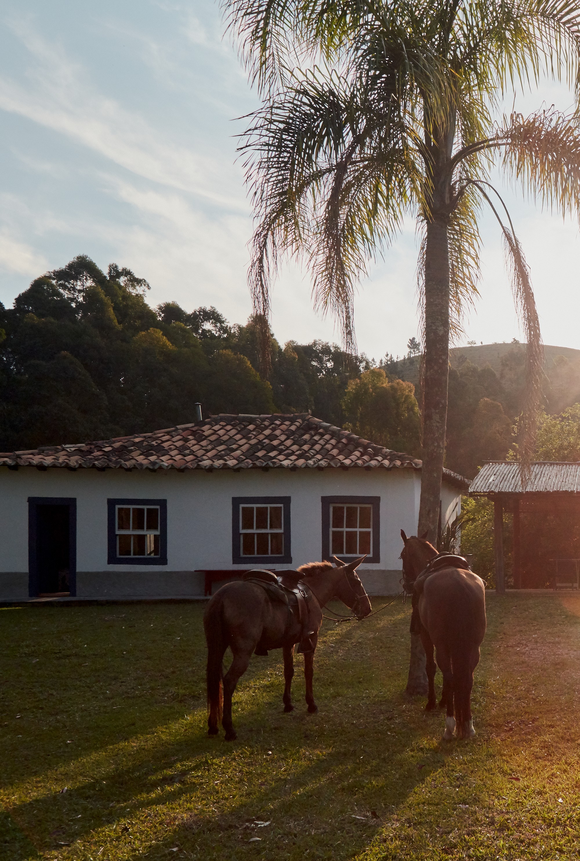 Volta à terra: A Casa do Lago é uma das opções para quem quiser fazer uma imersão na Fazenda Catuçaba (Foto: divulgação)