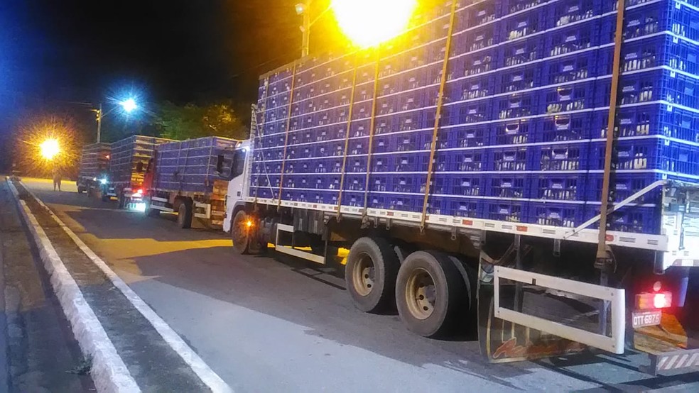 Carga de frango foi apreendida em Chã Preta — Foto: BPtran