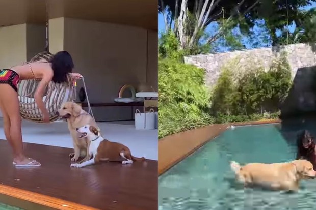 Bruna Marquezine brincando  com seus cães (Foto: Reprodução/ Instagram)
