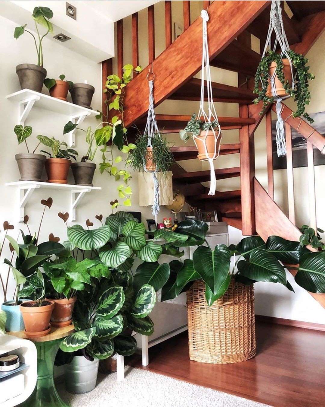 Jardim pequeno: ideias para ter plantas em casas ou apartamentos (Foto: Reprodução/Instagram/@dominika_variegata)