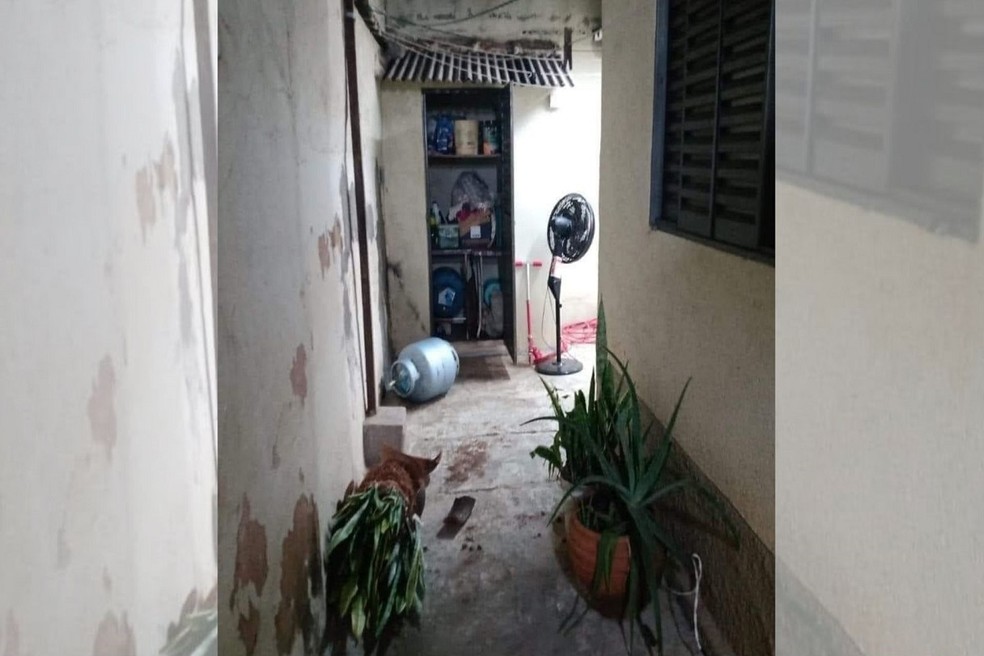 Bombeiro foi esfaqueado dentro da própria casa após reagir a assalto em Jaú — Foto: Reprodução/Redes sociais