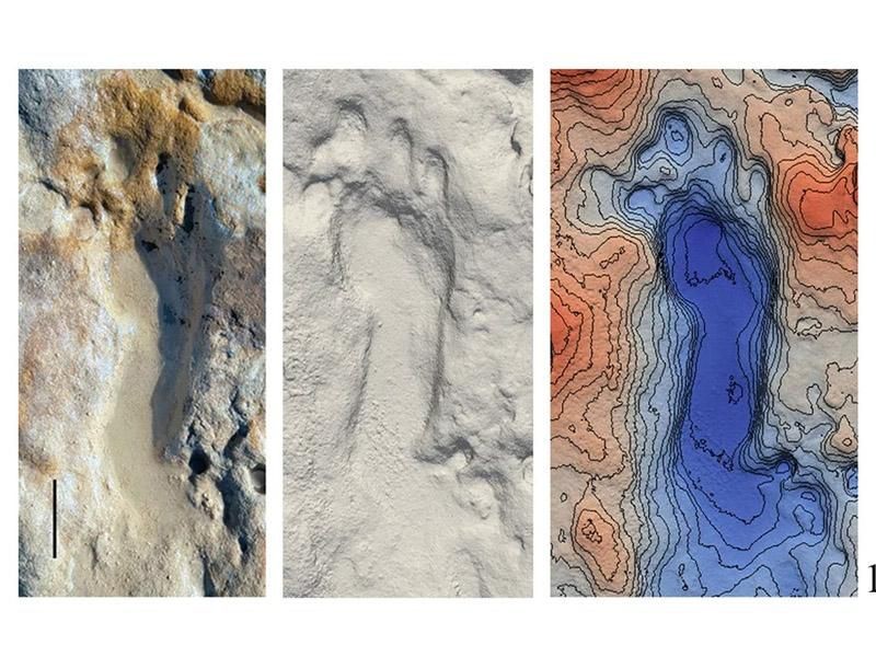 Pegadas de neandertais encontradas na praia de Matalascañas, na Espanha  (Foto: Divulgação/Mayoral et al./Scientific Reports)