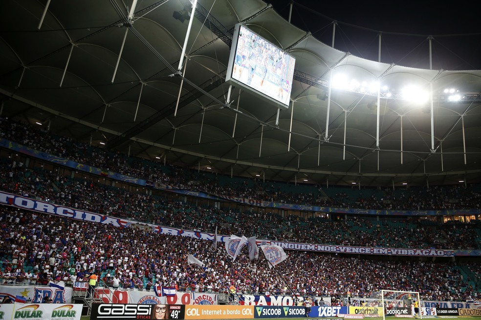 Torcida do Bahia retorna à Arena Fonte Nova, na partida contra o Palmeiras — Foto: Felipe Oliveira/EC Bahia