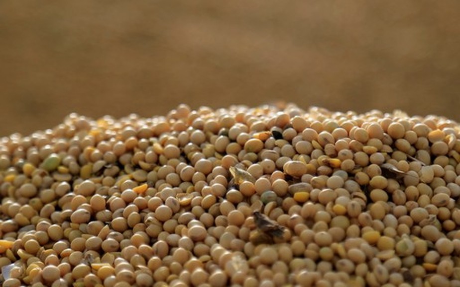 A soja caiu 7 centavos, para 14,2975 dólares por bushel