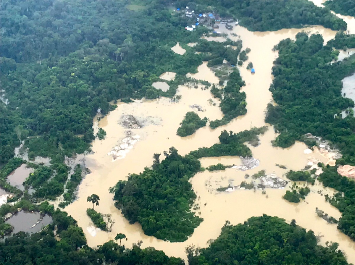 Organização lança plataforma que reúne estudos e informações sobre mercúrio e garimpo na região pan-amazônica - Vimarsana News