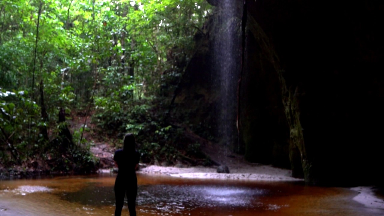 Reveja a viagem do Globo Repórter pelo coração da Floresta Amazônica, a maior do mundo