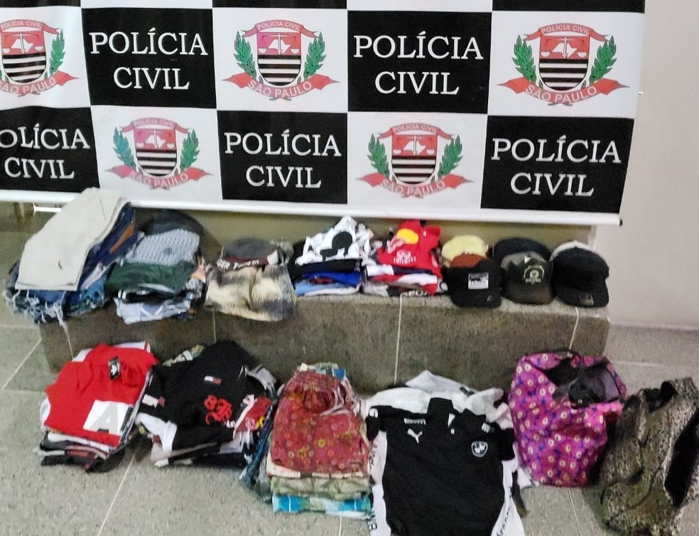 Produtos foram recuperados pela pol&iacute;cia &mdash; Foto: Pol&iacute;cia Civil