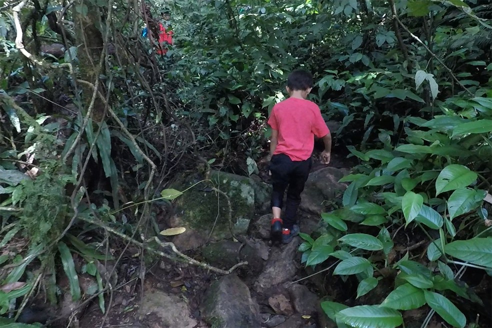 Parte da trilha que dá acesso ao Morro Rochedinho. — Foto: Marcio Kubo