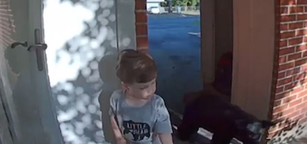 Menino de 4 anos encontro urso na entrada de casa (Foto: Youtube/ Reprodução)