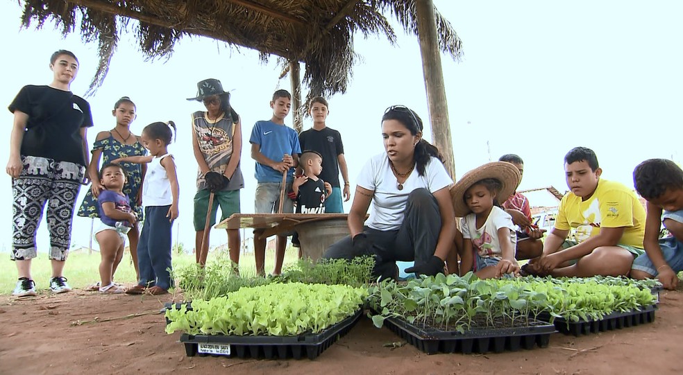 Antes de colocar a mÃ£o na terra, as crianÃ§as que participam do projeto em Araraquara tÃªm aulas sobre agroecologia  (Foto: Felipe Lazzarotto/EPTV)