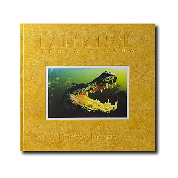 Amazon - Pantanal (Foto: Reprodução)