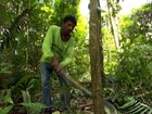 Lista negra denuncia municípios campeões de desmatamento no país