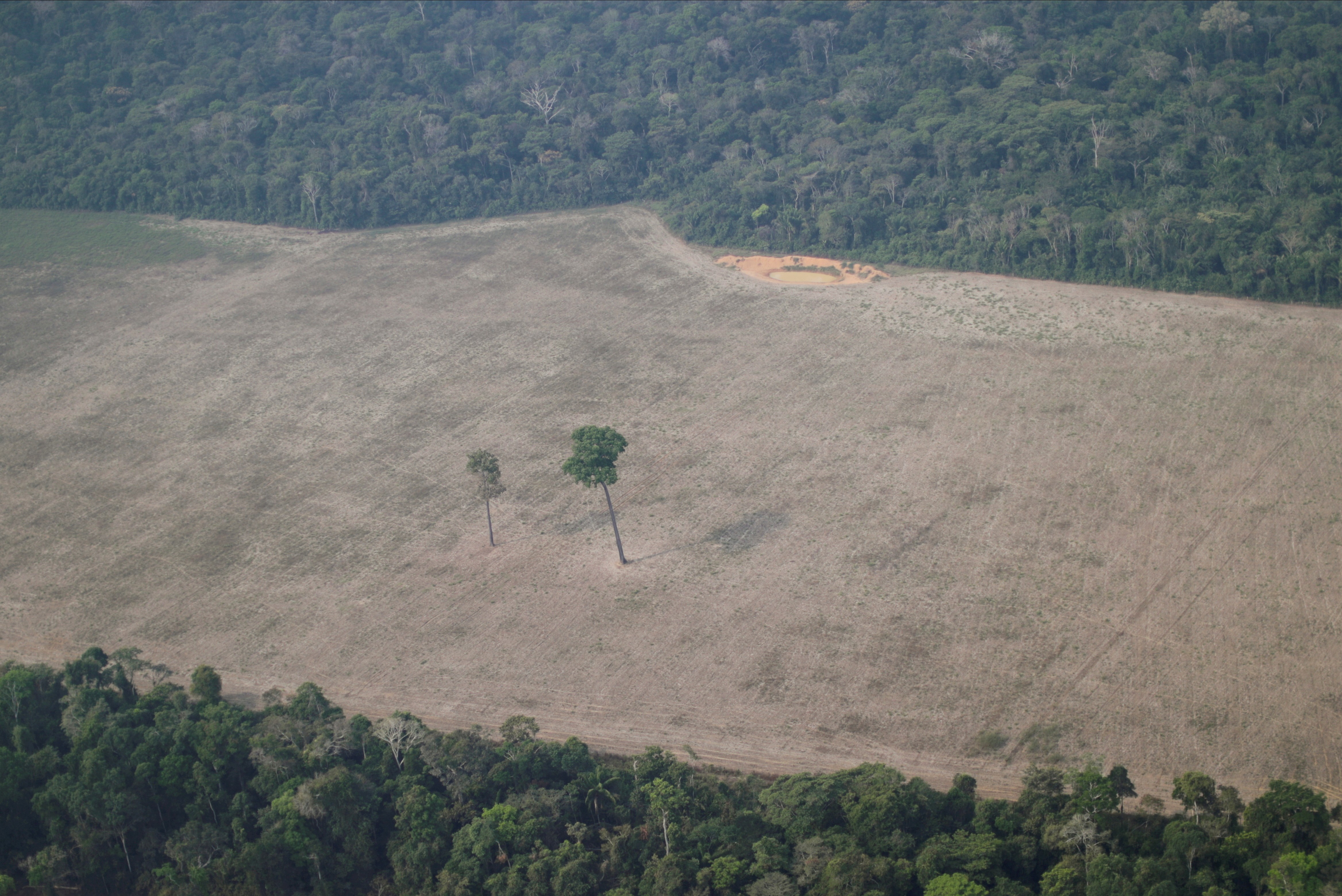 Desmatamento na Amazônia atinge maior nível desde 2006 (Foto: REUTERS/Ueslei Marcelino)