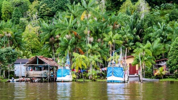 Região amazônica na Guiana Francesa; ao longo da história, ocupação no território se deu na costa, deixando áreas de floresta ao sul mais intocadas (Foto: Getty Images via BBC News)