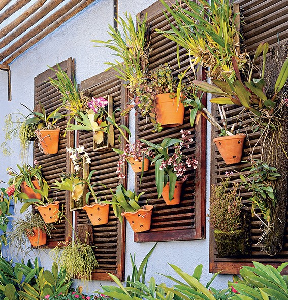Depois de proteger a casa do sol por muitos anos, as venezianas de madeira sobraram na reforma. Transforme as folhas em painéis de parede para a coleção de orquídeas. Passe nelas uma demão de verniz para que aguentem mais as intempéries